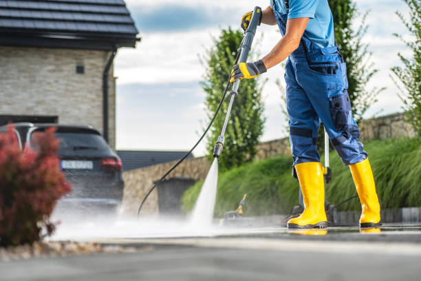 Animal Enclosure Cleaning in Sparta, NC